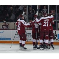 Peterborough Petes celebrate a goal