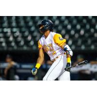 Columbia Fireflies' Austin Charles on game night