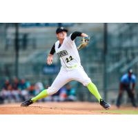 Columbia Fireflies' Logan Martin in action