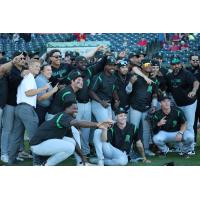 Dayton Dragons celebrate their playoff berth