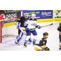 Maine Mariners forward Sebastian Vidmar