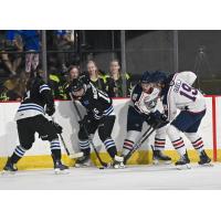 Wenatchee Wild forward Maddix McCagherty (16) pushes the puck up the boards