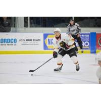 Ty Halaburda of the Vancouver Giants