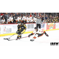 Indy Fuel defenseman D.J. King (right) vs. the Wheeling Nailers