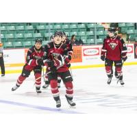 Vancouver Giants left wing Maxim Muranov