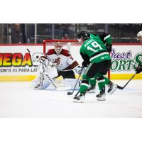 Tucson Roadrunners goaltender Jaxson Stauber