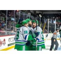Florida Everblades celebrate a goal
